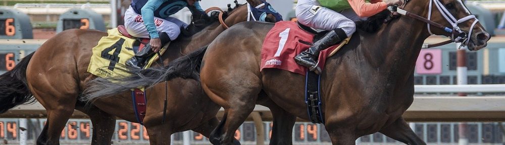 Featured Post Image - 競馬でおうち時間を楽しむ