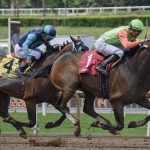競馬でおうち時間を楽しむ